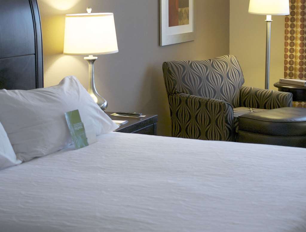 Hilton Garden Inn Greenville Kamer foto